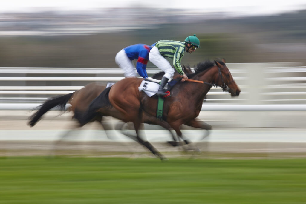 Horse Race