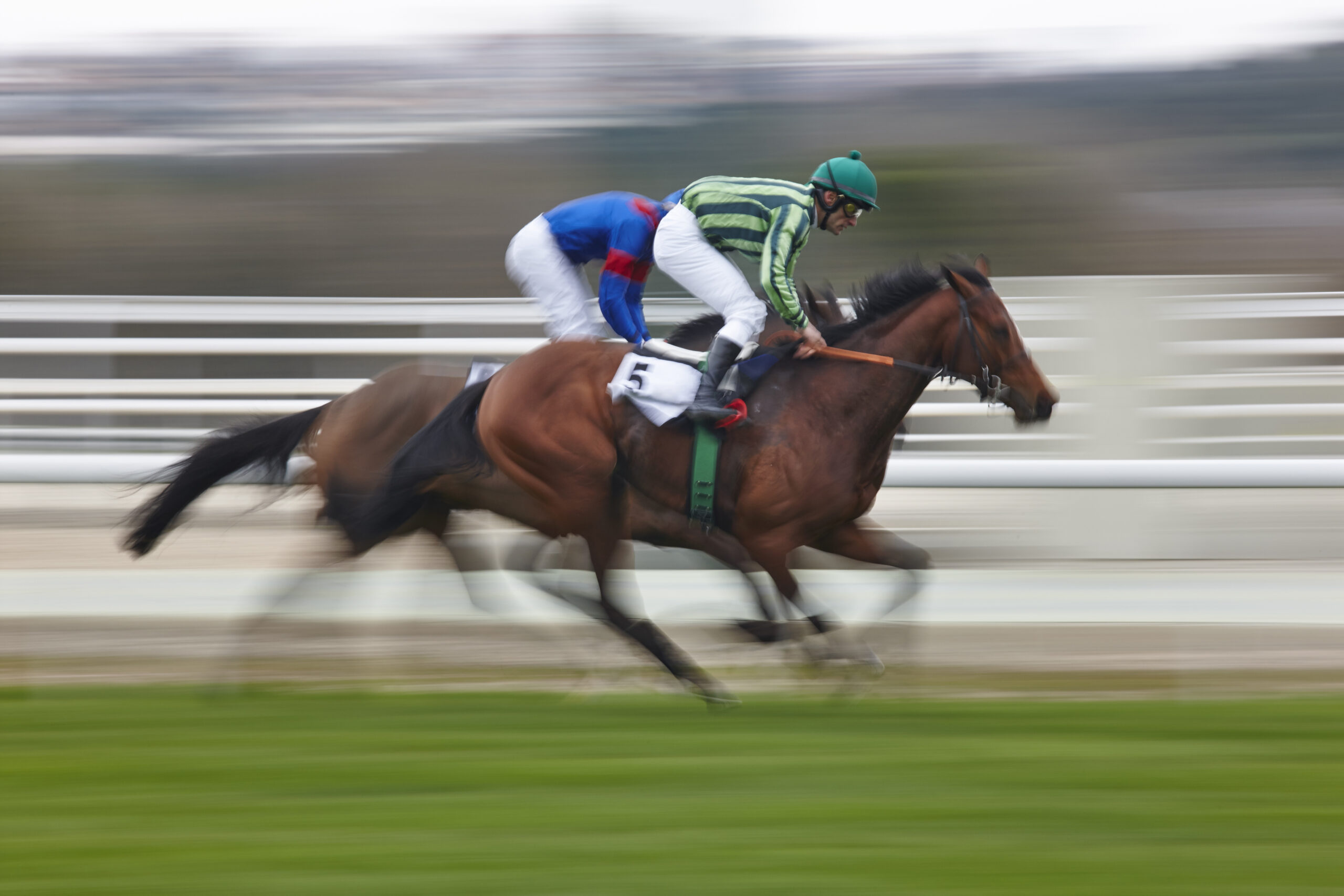 Horse Race